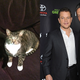 Illustration for article titled Meet Jezebel's Pets and Their Celebrity Lookalikes!